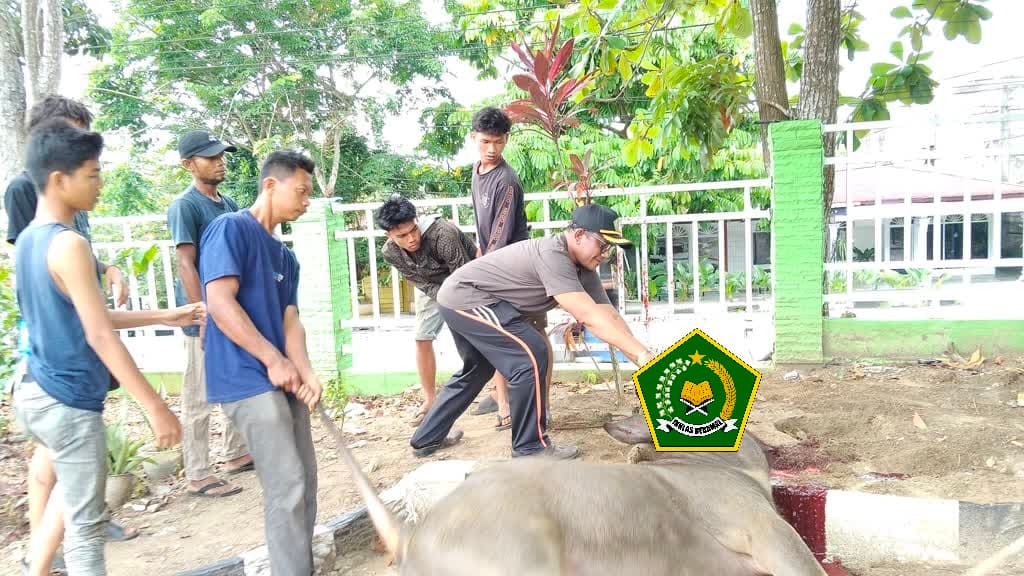 Semarak Idul Adha 1447 H, Kasubbag TU Kemenag Kampar Ahmad Fadhli Turun Langsung Potong Hewan Qurban